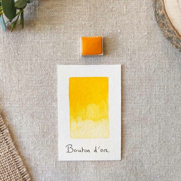 Aquarelle artisanale Bouton d'Or en quart de godet