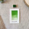 Aquarelle artisanale vert Grenouille en quart de godet