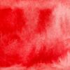 Couleur de l'aquarelle artisanale Coquelicot