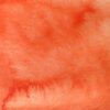 Couleur de l'aquarelle artisanale Capucine