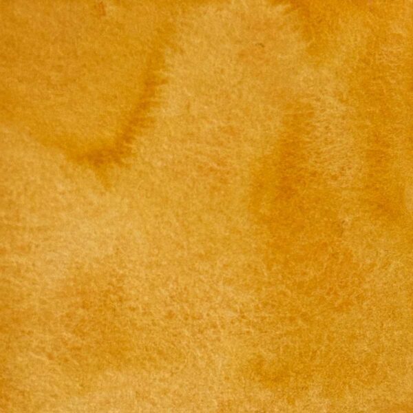 Palette - Escapade sauvage – Image 4