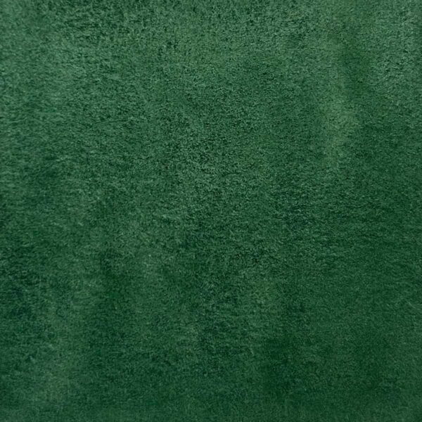 Palette - Escapade sauvage – Image 9