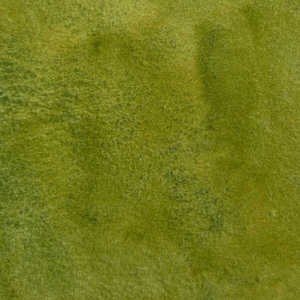 Palette - Escapade sauvage – Image 8