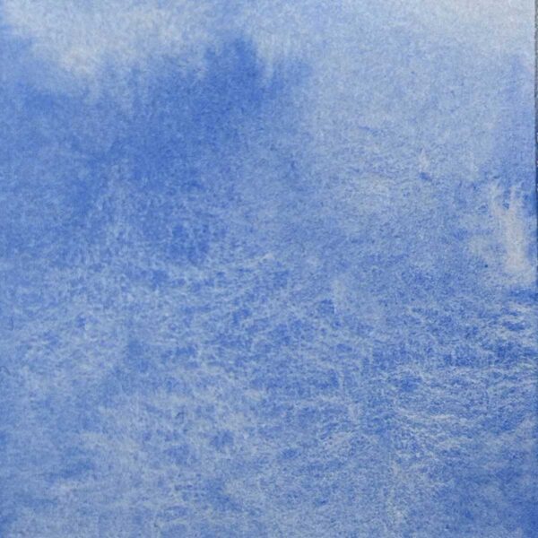 Palette - Escapade sauvage – Image 6